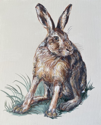 Must Dash Hare
