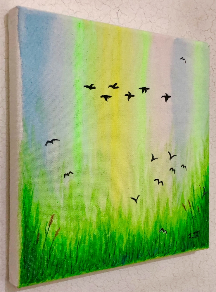 Birds over the Wetlands