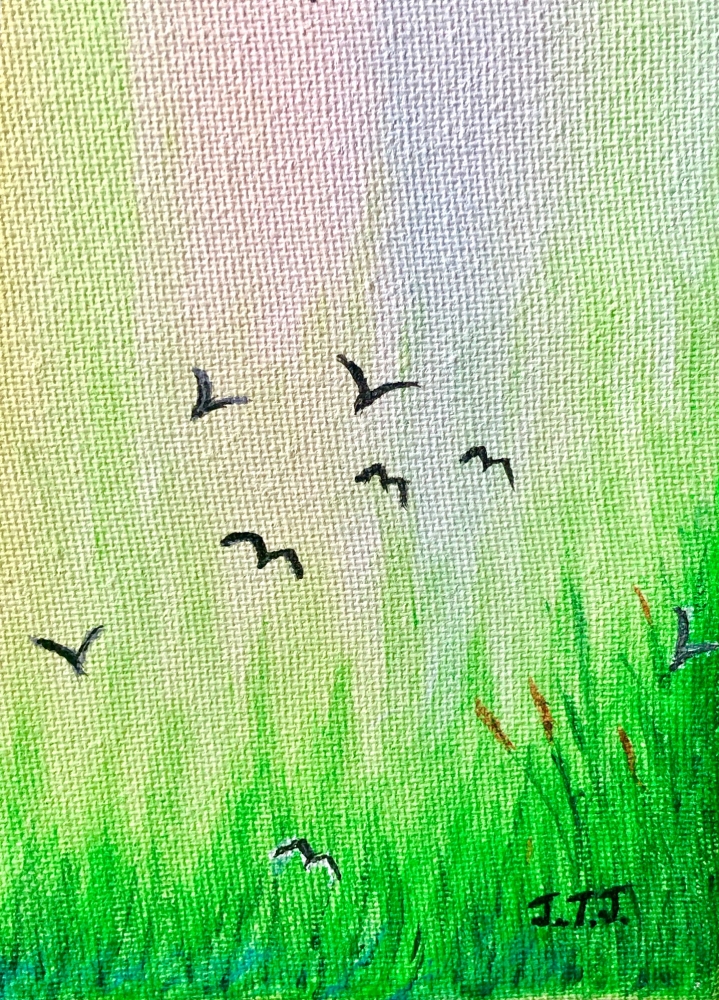 Birds over the Wetlands