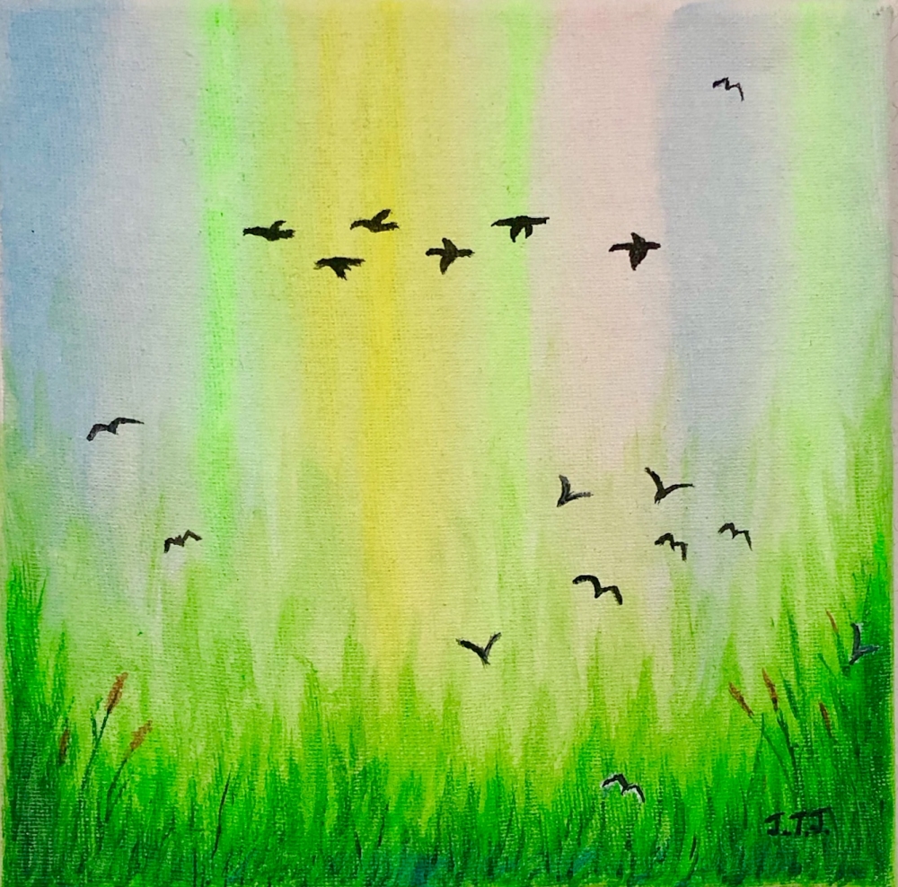 Birds over the Wetlands