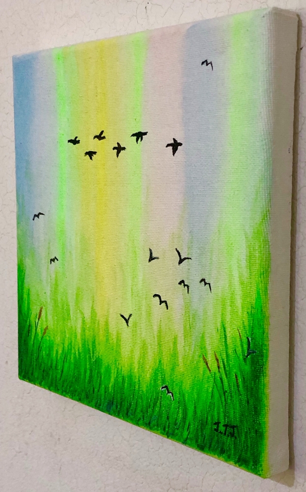 Birds over the Wetlands