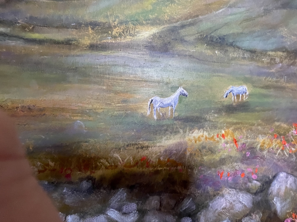 Wild ponies 