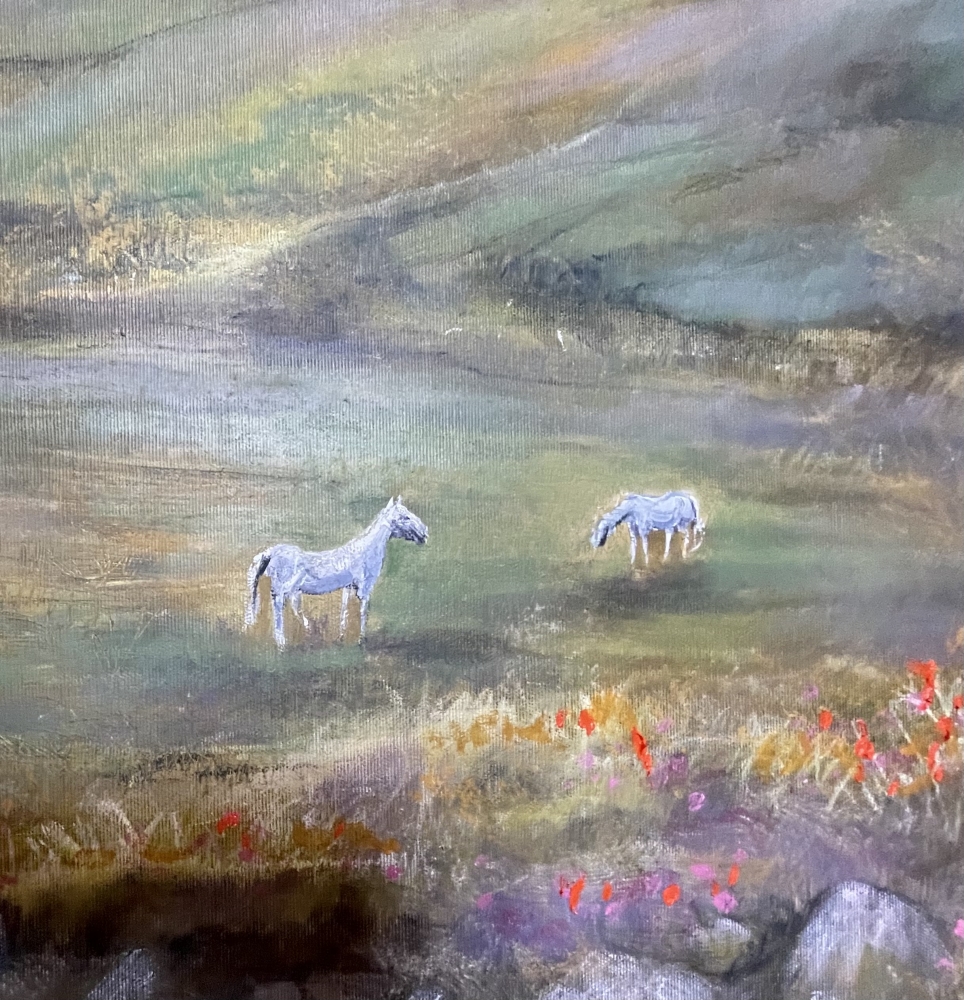 Wild ponies 