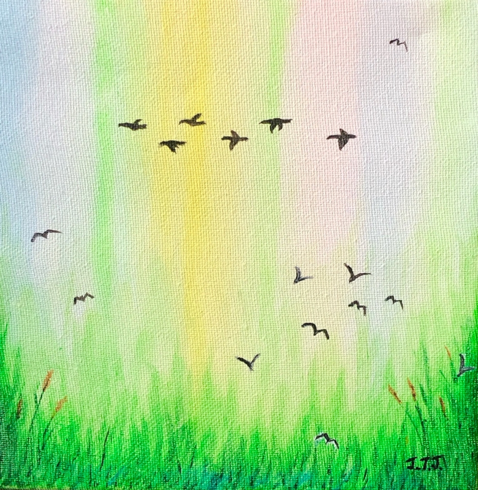 Birds over the Wetlands