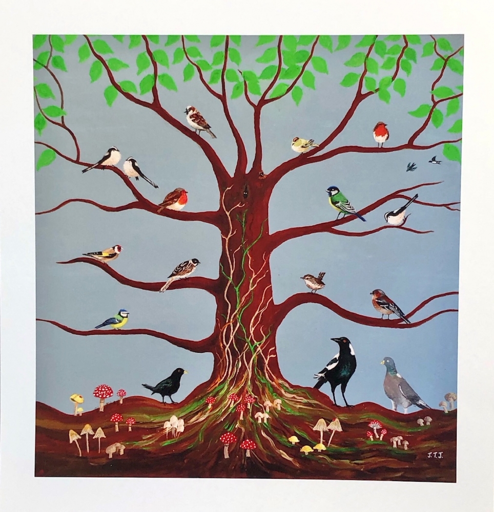 Bird Tree of Life