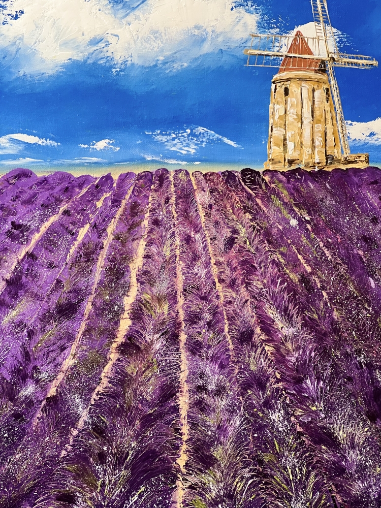 Valensole The Lavender Field