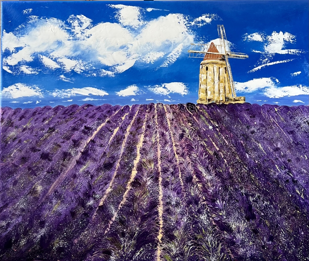 Valensole The Lavender Field