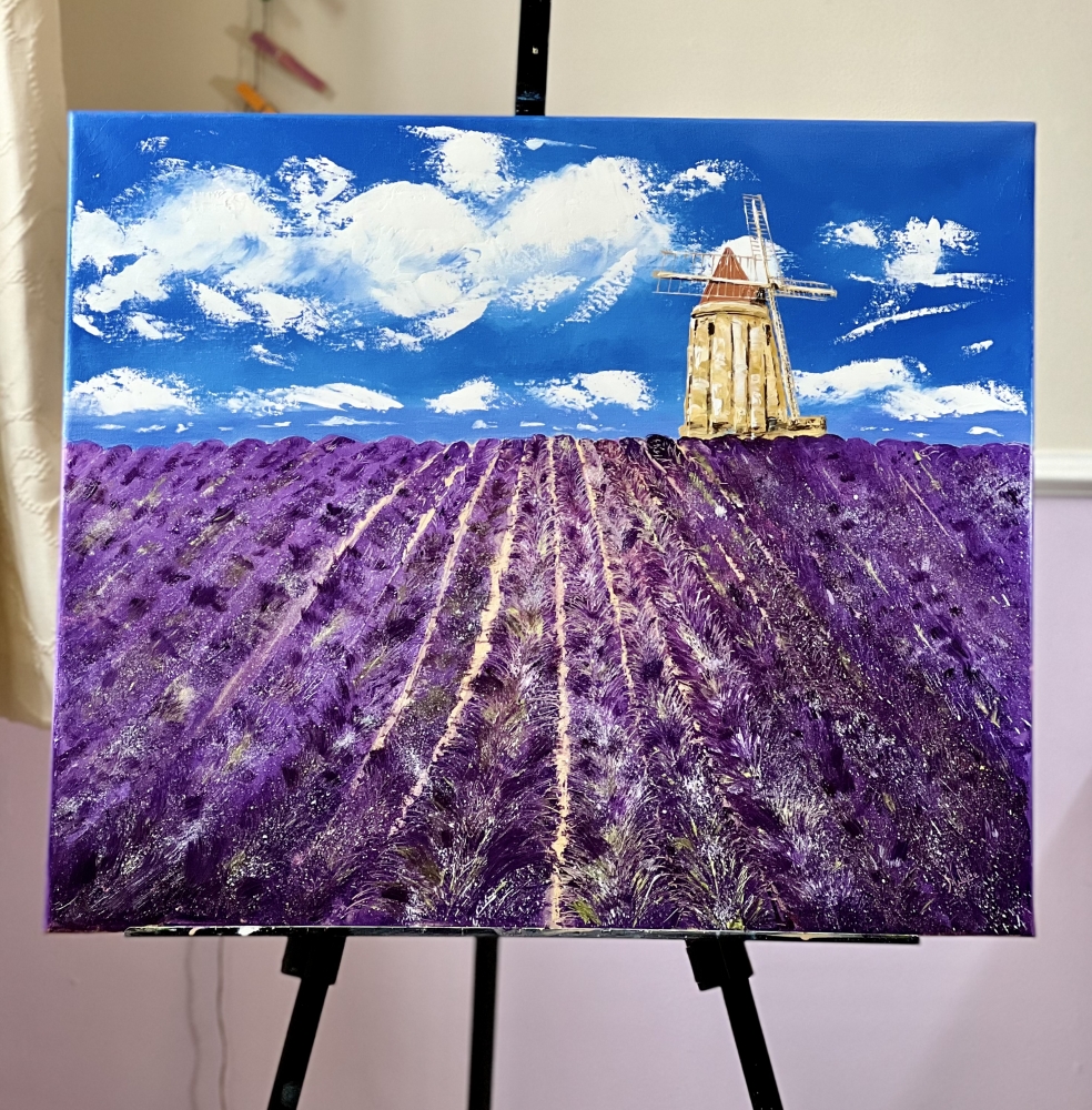 Valensole The Lavender Field