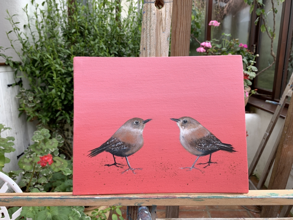 Two Little Wrens