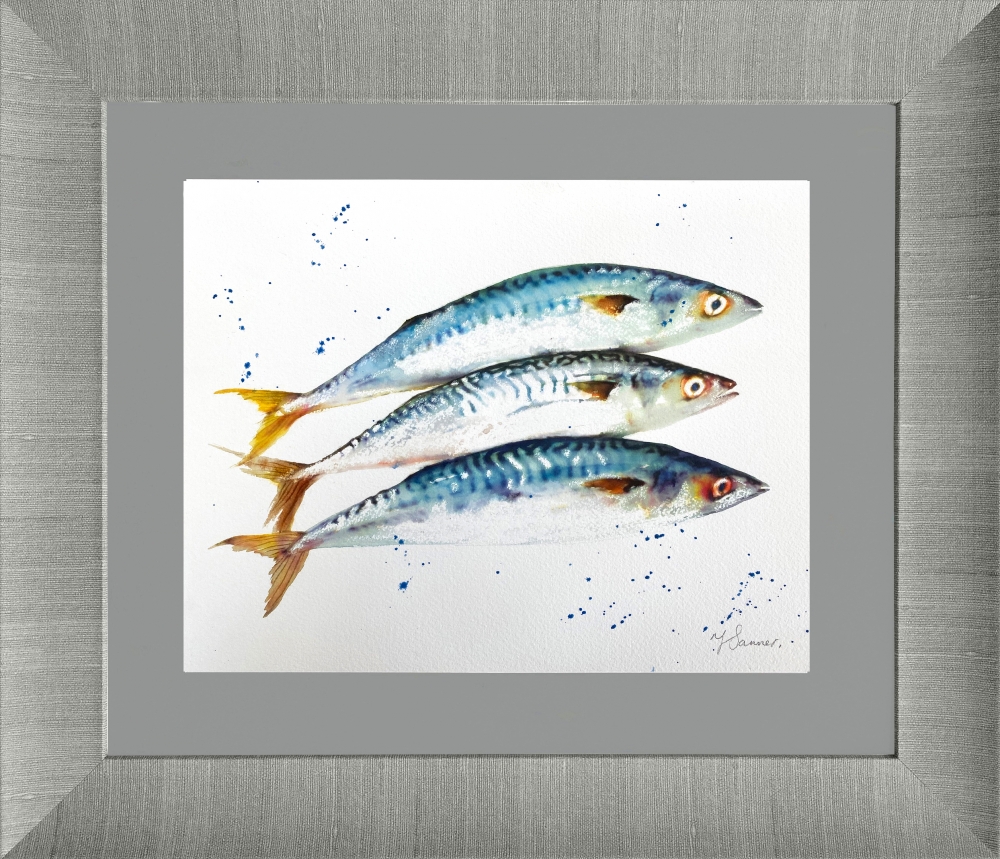 Three Mackerel Fish