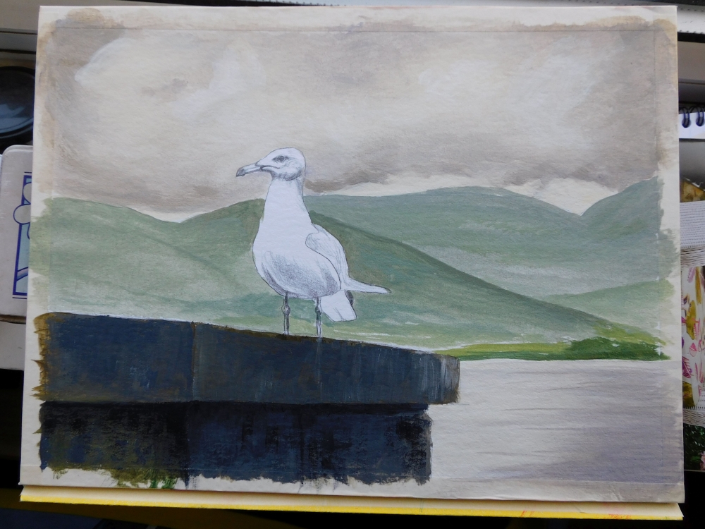 Skye Aileana Seagull - Seabird Painting