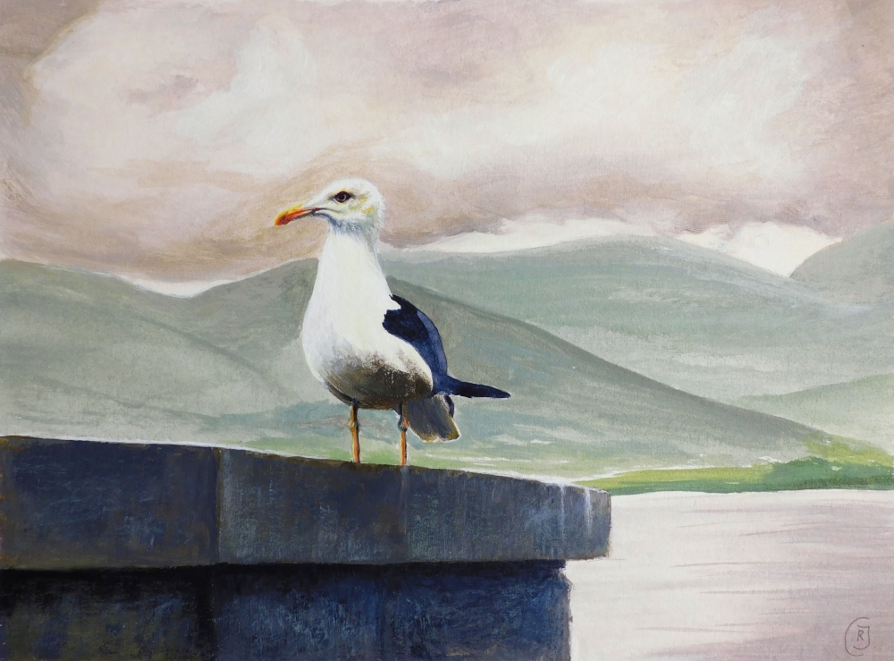 Skye Aileana Seagull - Seabird Painting