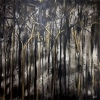 Abstract Black Forest Gold 