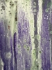 Purple rain 1