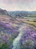 Lavender Light, Northumberland