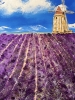 Valensole The Lavender Field