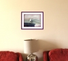 Skye Aileana Seagull - Seabird Painting