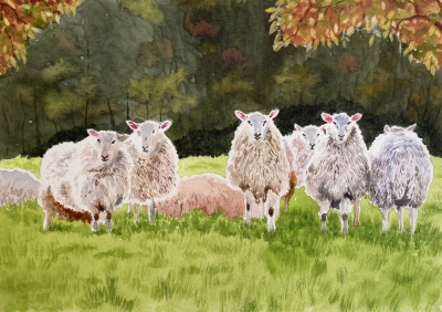 THE FLOCK