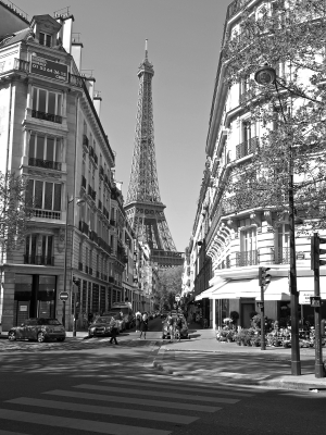 Avenue Rapp - A3