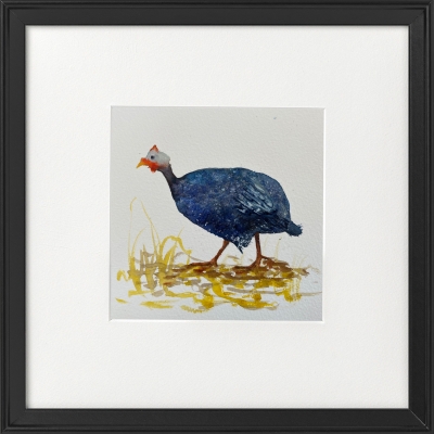 Guinea Fowl framed