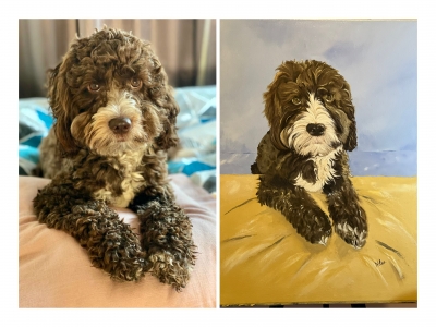 Pet Portraits