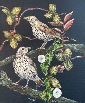 Hedgerow Song