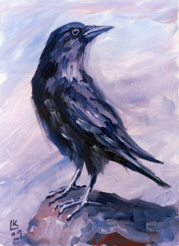 Black bird