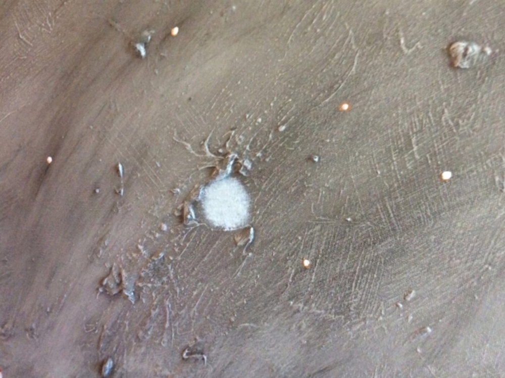 “Miss You Mum” 102x77x2cm