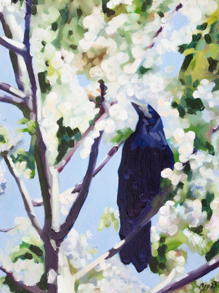 Rooks in Blossom