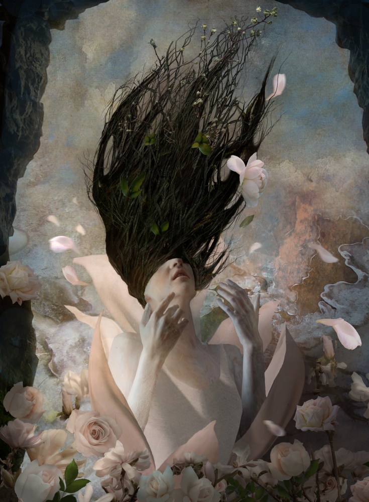 Daydream 