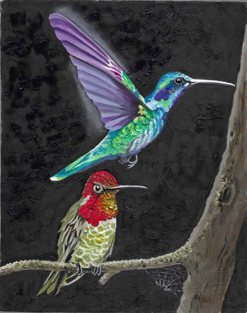Hummingbirds