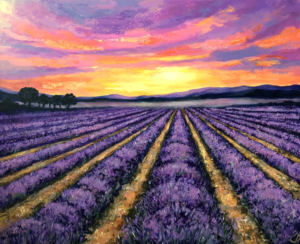 Sunrise over Lavender