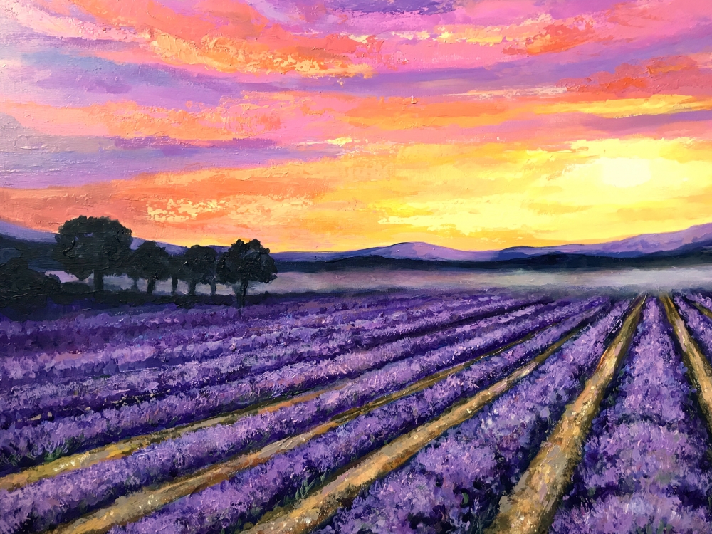 Sunrise over Lavender