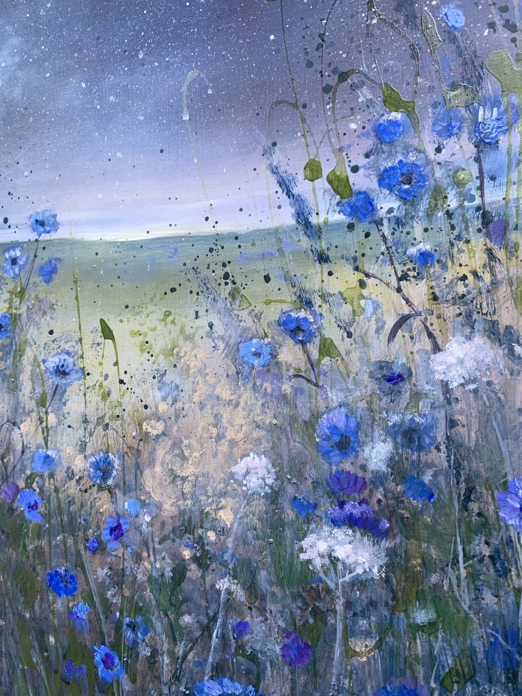 Cornflowers Under The Stars