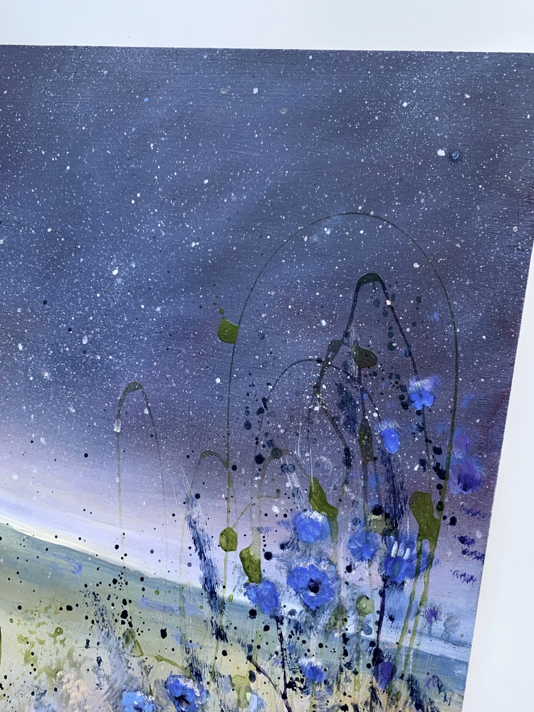 Cornflowers Under The Stars