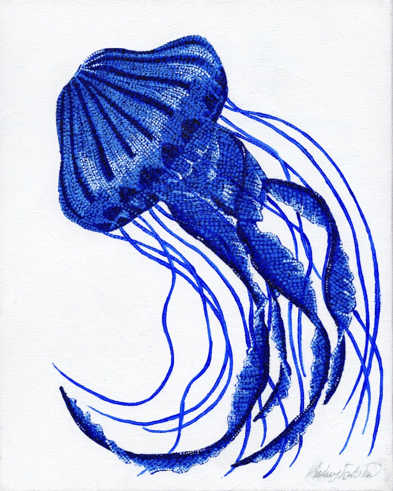 Blue Compass Jellyfish