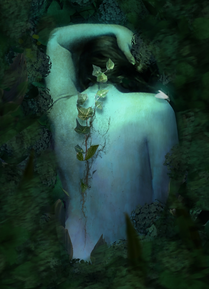 The Plant