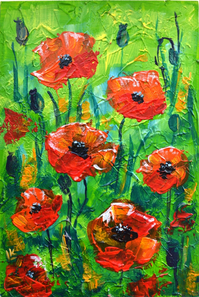 Poppy Red Flowers