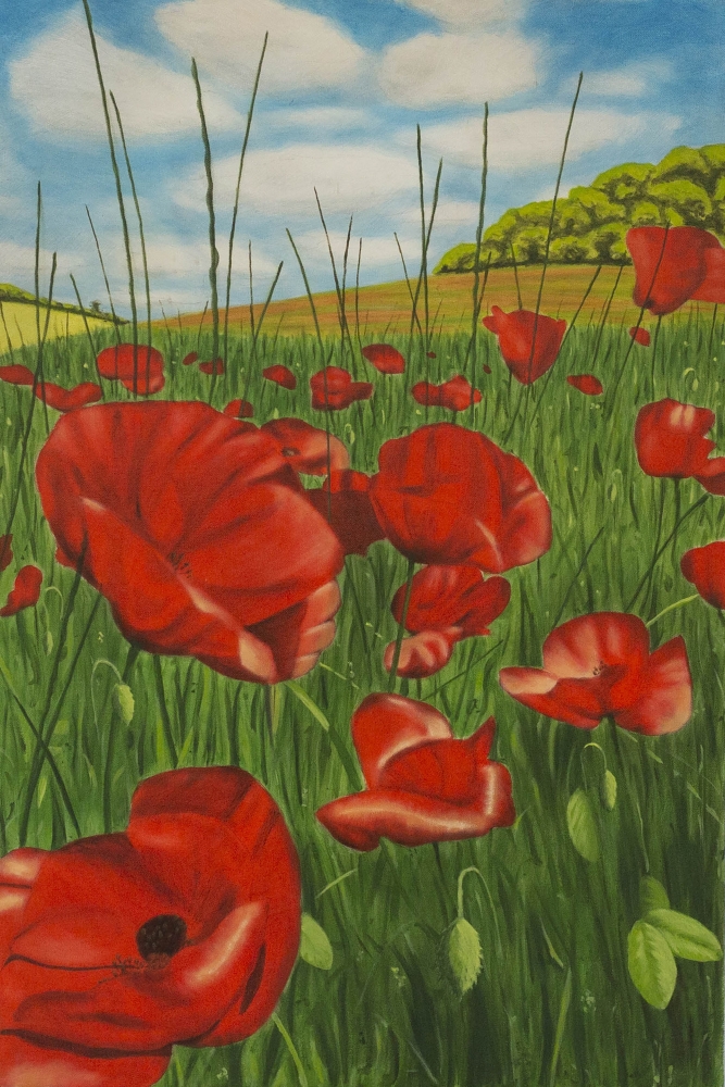 Poppy field 1