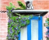 Spirit of the Outdoors, Blue Door from Pontefract