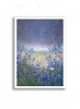 Cornflowers Under The Stars