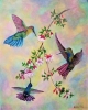 HUMMINGBIRD TRIO