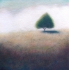 Peace and Quiet