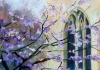 Peterborough cathedral with purple blossom tree