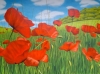 Poppy field 2