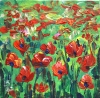 Meadow of poppies 