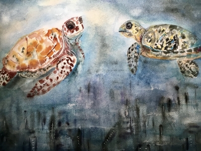 Turtles 