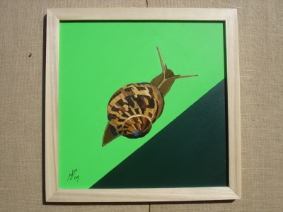 Snail 