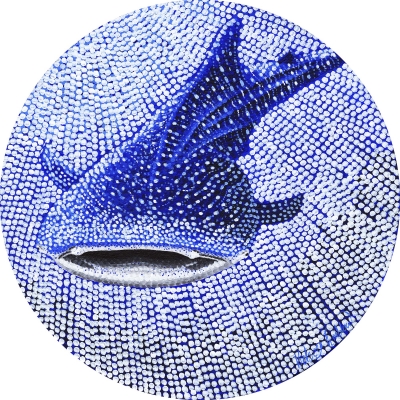 Whale Shark