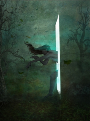 The Portal